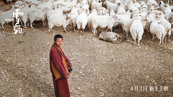 1710903130334063046.jpeg 29CEA495-8AF0-4B05-B396-89248E1614D3.jpeg