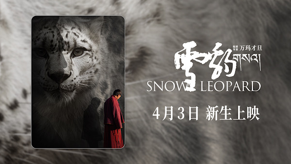 1710903250855010246.jpeg 0FEE3ED9-B173-40CC-BBFF-ECEC9D365BDB.jpeg