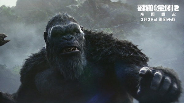 1711342717644084404.jpeg 0011683B-0047-4E58-89B2-6ECD976AB453.jpeg