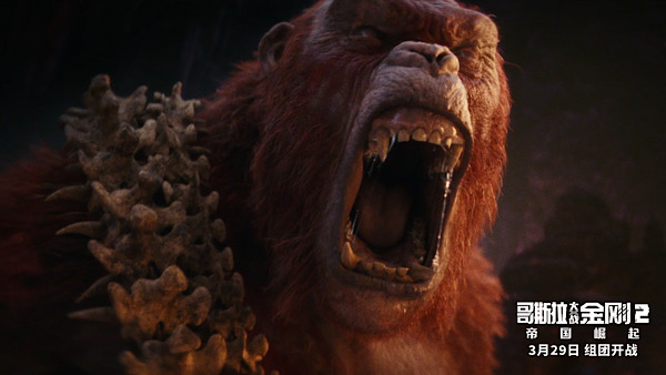 1711424980510095548.jpeg 9533E01D-873B-43A7-A50C-6BFDFA628884.jpeg