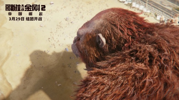 1712462205138018152.jpg 刀疤王恐吓人类.jpg