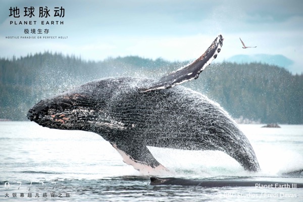 1721362737987047449.jpg 剧照1.jpg