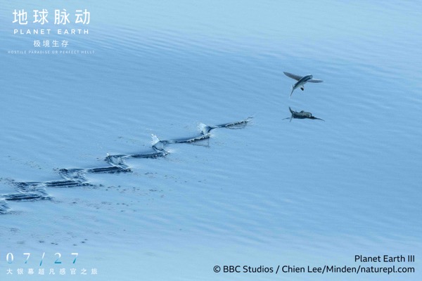 1721362746190026610.jpg 剧照2.jpg