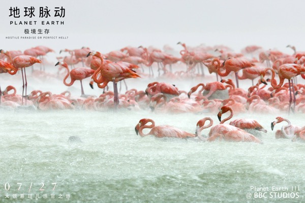 1721362758851025709.jpg 剧照3.jpg